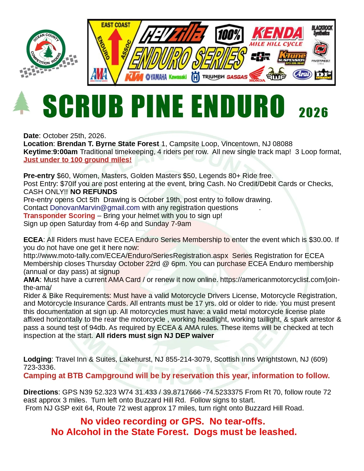 Scrub Pine