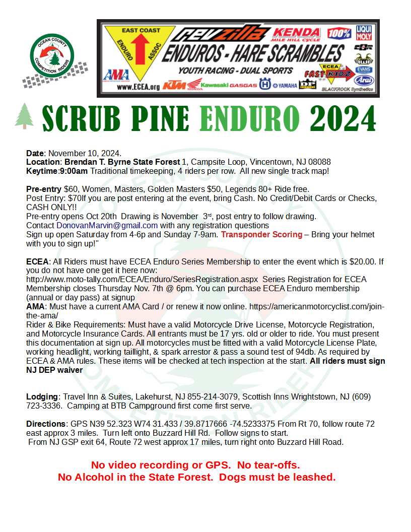 Scrub Pine